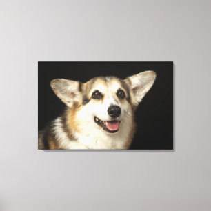 Toile Portrait de Corgi noir, marron et blanc