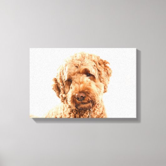 Toile Portrait de Goldendoodle Studio (Recto)