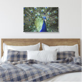 Toile Portrait De Peacock Avec Plumes Sorties (Insitu(Chambre))