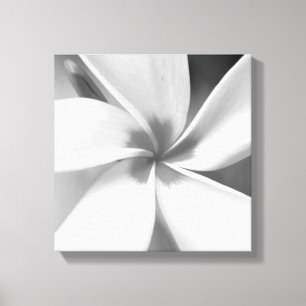 Toile Portrait de Plumeria