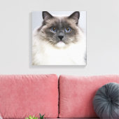 Toile Portrait de Ragdoll (Insitu(Salon))