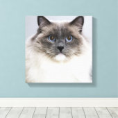 Toile Portrait de Ragdoll (Insitu (Plancher de Bois))