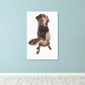 Toile Portrait de studio de chocolat Labrador (Insitu (Plancher de Bois))