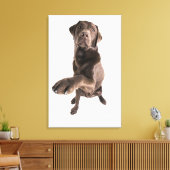 Toile Portrait de studio de chocolat Labrador (Insitu(Salon))