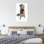 Toile Portrait de studio de chocolat Labrador (Insitu(Chambre))