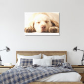 Toile Portrait de studio de Yellow Labrador Retriever (Insitu(Chambre))