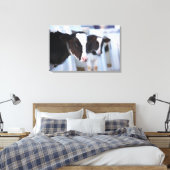 Toile Portrait de vache (Insitu(Chambre))