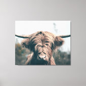 Toile Portrait de vache highland (Recto)