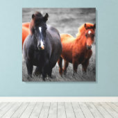 Toile Portrait des chevaux : Photographie couleur sélect (Insitu (Plancher de Bois))