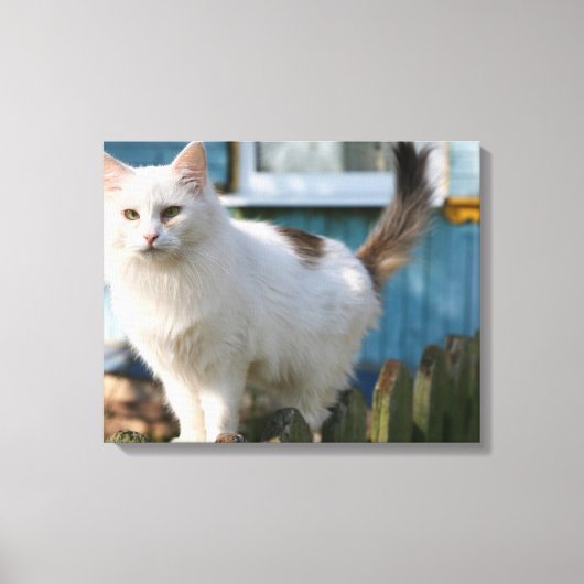 Toile Portrait du chat sur la clôture (Recto)