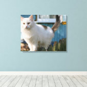 Toile Portrait du chat sur la clôture (Insitu (Plancher de Bois))