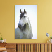 Toile portrait du cheval blanc 3 (Insitu(Salon))