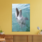 Toile Portrait du dauphin à bec commun, Caraïbes (Insitu(Salon))