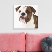 Toile Portrait du mignon petit bulldog (Insitu(Salon))