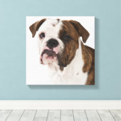 Toile Portrait du mignon petit bulldog (Insitu (Plancher de Bois))