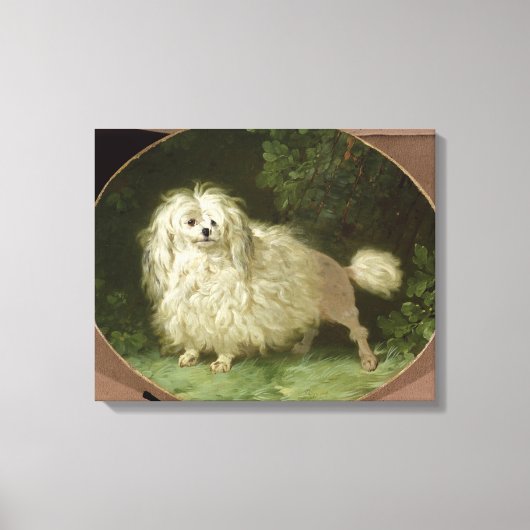 Toile Portrait d'un caniche (Recto)