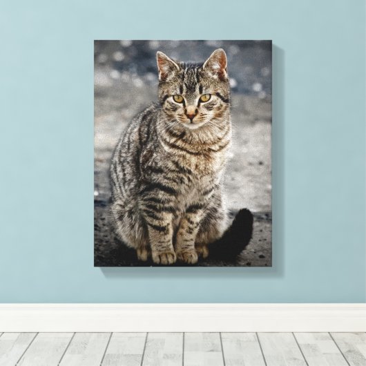 Toile Portrait d'un chat (Insitu (Plancher de Bois))