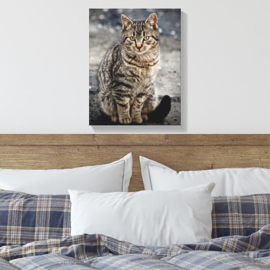 Toile Portrait d'un chat (Insitu(Chambre))