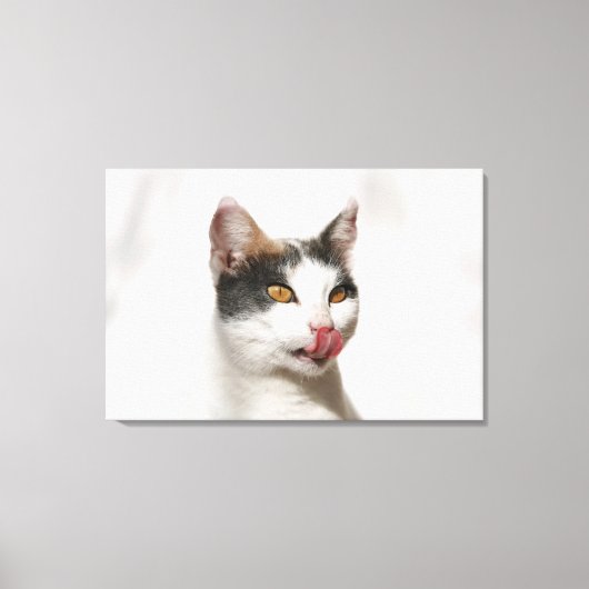 Toile Portrait d'un chat blanc léchant (Recto)