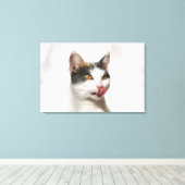 Toile Portrait d'un chat blanc léchant (Insitu (Plancher de Bois))