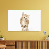 Toile Portrait d'un chaton (Insitu(Salon))