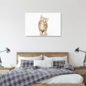 Toile Portrait d'un chaton (Insitu(Chambre))