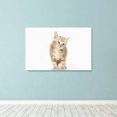 Toile Portrait d'un chaton (Insitu (Plancher de Bois))