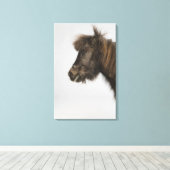 Toile portrait d'un cheval (Insitu (Plancher de Bois))