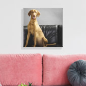 Toile Portrait d'un chien (Insitu(Salon))