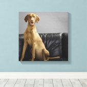 Toile Portrait d'un chien (Insitu (Plancher de Bois))