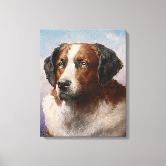 Toile Portrait D'Un Chien De Saint Bernhard (Recto)