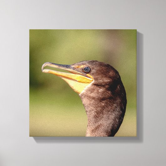 Toile Portrait d'un Cormorant (Recto)