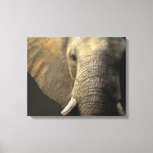 Toile Portrait éléphant (Recto)