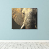 Toile Portrait éléphant (Insitu (Plancher de Bois))