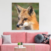 Toile Portrait Fox (Insitu(Salon))