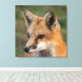 Toile Portrait Fox (Insitu (Plancher de Bois))