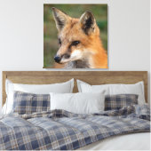 Toile Portrait Fox (Insitu(Chambre))