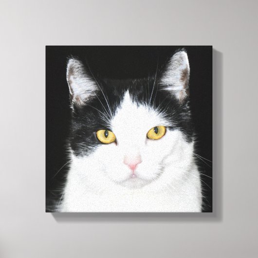 Toile Portrait noir et blanc de chat (Recto)