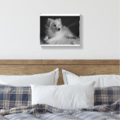 Toile Portrait noir et blanc Spitz japonais (Insitu(Chambre))