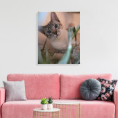 Toile Portrait photo de chat (Insitu(Salon))
