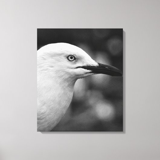 Toile Portrait Seagull (Recto)