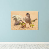 Toile Pose à frapper (Insitu (Plancher de Bois))