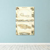 Toile Possessions britanniques d'Indiens de l'Ouest (Insitu (Plancher de Bois))