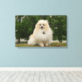 Toile Poste de poméraning (Insitu (Plancher de Bois))