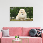 Toile Poste de poméraning (Insitu(Salon))