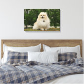 Toile Poste de poméraning (Insitu(Chambre))