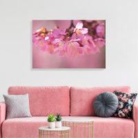 Poster du printemps 2012 pour les fleurs de cerisi