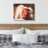 Toile Poster du Singe mignon (Insitu(Chambre))