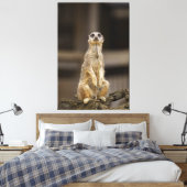 Toile Poster Meerkat (Insitu(Chambre))