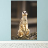 Toile Poster Meerkat (Insitu (Plancher de Bois))